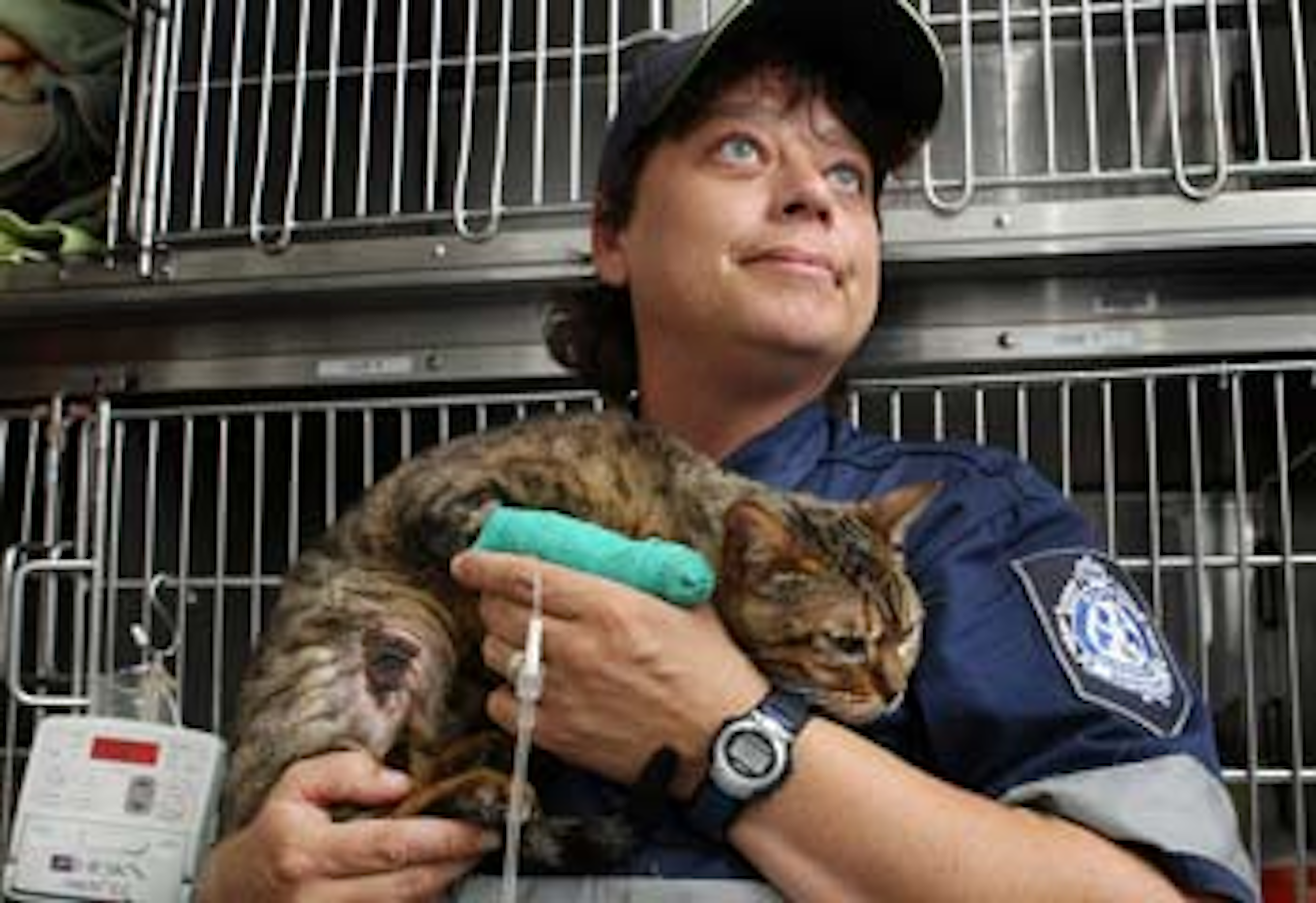 Cool Cat Stuck in Air Conditioner!