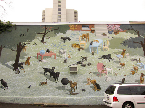 Raining Cats and Dogs